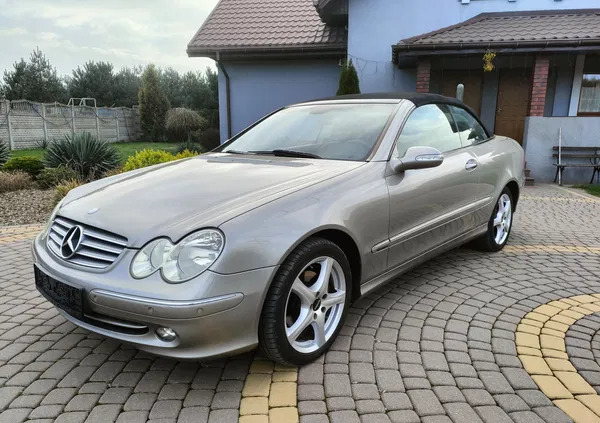 mercedes benz clk Mercedes-Benz CLK cena 30900 przebieg: 228000, rok produkcji 2004 z Olszyna